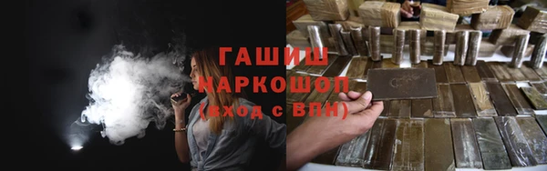 прущие грибы Новый Уренгой