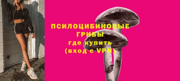 трава Новокубанск